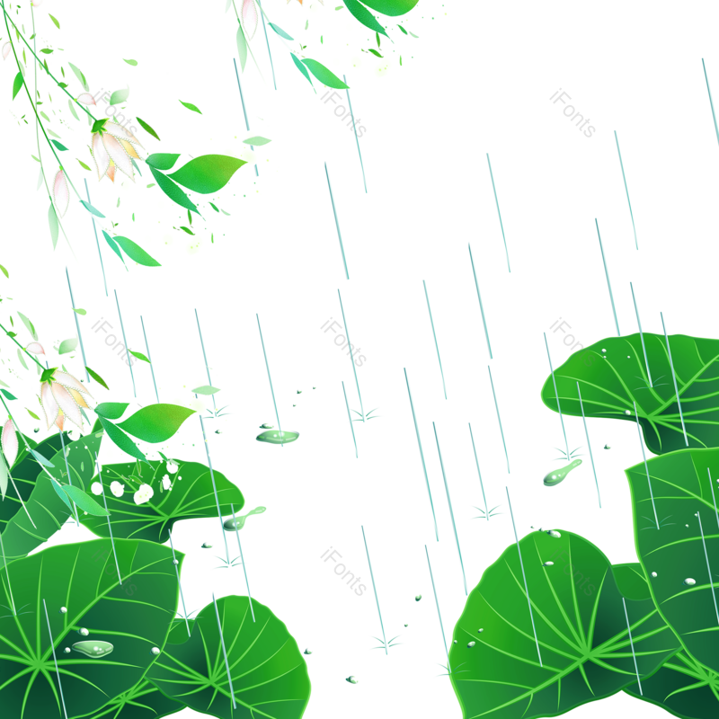 叶子图片,装饰元素,夏天PNG,雨水免抠素材